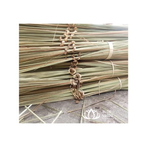 Techo de paja de algas marinas para cabañas y pérgolas Solución de techo natural y auténtica para áreas costeras Blue Lotus Vietnam - Product Image 3