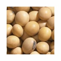 Exportateur de graines de soja biologique et OGM Farine de soja jaune en vrac pour l'alimentation animale Styles séchés et congelés en sacs