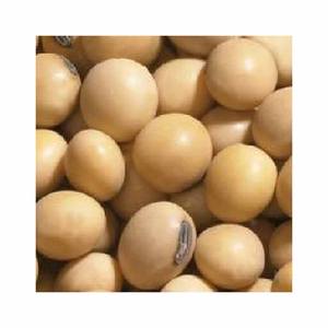 Exportador de semillas de soja orgánica y OGM, harina de soja amarilla a granel para alimentación animal, estilos secos y congelados en bolsas - Product Image 6