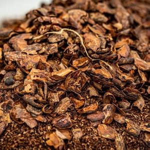 เปลือกโกโก้ธรรมชาติเปลือกโกโก้ออร์แกนิกมีในสต็อกและพร้อมใช้งานสำหรับการปรับปรุงดินคุณภาพระดับพรีเมียมจัดส่งเร็ว - Product Image 1