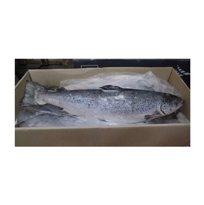 ซื้อปลาแซลมอนแอตแลนติกสดออนไลน์ - Product Image 5