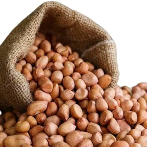 Style séché d'arachides de noyau cru organique de haute qualité disponible en vrac pour la vente en gros - Product Image 1