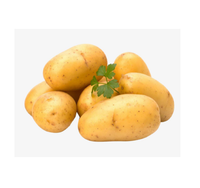 Aardappel-, groente- en fruitwas- en schilmachine - Multifunctioneel 110/220V 3KW Model QR-96 OEM ODM Commercieel gebruik