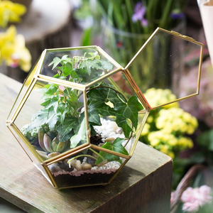 Meilleure qualité d'exportation nouveauté vase en verre enduit noir terrarium géométrique décoration de table jardin mousse taille personnalisée décorer - Product Image 5