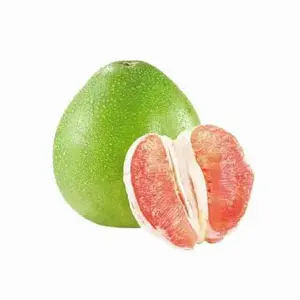 优质柚子新鲜水果出口商其他农产品