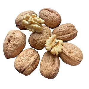 Noyaux de noix crues de Chine pour snacks et pâtisseries, prix usine, fournisseur en gros - Product Image 3