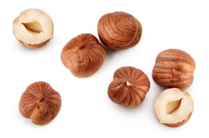 Noix de hêtre à prix avantageux d'Afrique du Sud – Fournisseur naturel et économique de noyaux de fruits secs – Noix de hêtre à vendre - Product Image 5