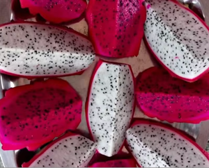 ขายส่งมังกรผลสดมังกรผลสีขาวแดงออร์แกนิก - Product Image 3