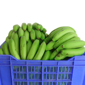 Зеленый Кавендиш банан