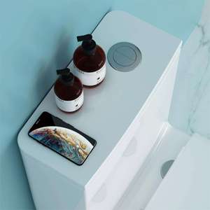 Diseño moderno Cumple con La ADA WC Ergonómico <span class=keywords><strong>Confort</strong></span> Altura Cerámica Baño Accesible Operación fácil de usar - Product Image 5