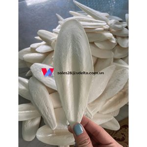 MEJOR VENTA DE HUESO DE SEPIA 2023 para MASCOTAS CON ALTA CALIDAD DE VIETNAM // Sra. Shyn - Product Image 4