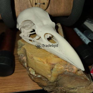 Statue d'animal sculptée en résine de designer Tradebyd, qualité supérieure, objet décoratif artistique de collection pour l'intérieur de la maison, cadeau - Product Image 4