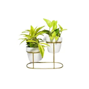 Top Quality Metal Made Planter with Custom Size Available For Home & Garden Decoration Uses Lowest Prices