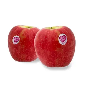 Apel berkualitas baik, apel Royal Gala | Apel Pink wanita tersedia dalam jumlah besar segar dengan harga grosir