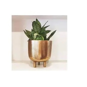 Más vendidos acabado dorado aluminio Metal sala de estar Hogar y jardín decoración florero boda fiesta maceta - Product Image 6