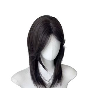 Perruque Full Lace fabriquée au Viet Nam avec un design HD Lace Glueless pour les femmes avec couleur et délié personnalisés - Product Image 1