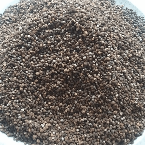 Semillas de papaya secas de Vietnam | Producto agrícola para uso herbal - Product Image 6