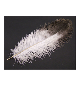 Plumas de avestruz baratas a la venta, plumas de calidad superior para moda, artesanía y decoración, pedidos a granel disponibles - Product Image 4
