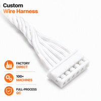 Câble de Faisceau de Câblage Torsadé Personnalisé à 5 Broches avec Connecteur pour Capteur d'Encodeur, Signal OEM, Gaine en PVC, Isolation en Caoutchouc
