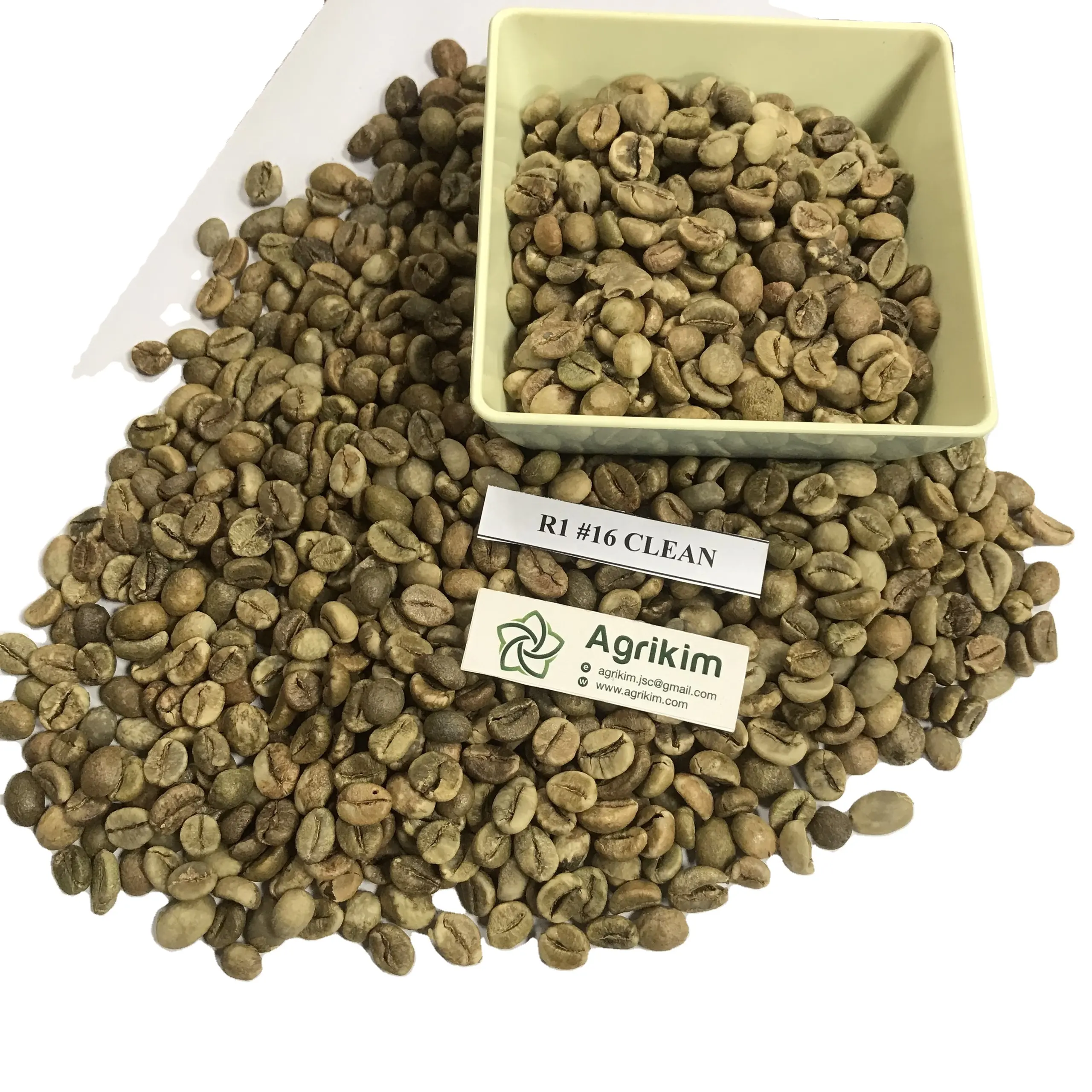 Grains de café vert robustes de toutes qualité SCR #16, origine du VIETNAM, haute qualité, prix raisonnable, exportateur VIETNAM