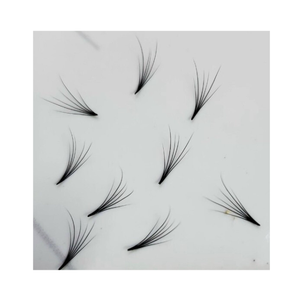 Extensions d'éventail de cils Camelia 6D faites à la main emballage de plateau de beauté fabricant vietnamien numéro de modèle facile - Product Image 1