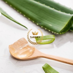 เครื่องดื่มว่านหางจระเข้ก้อน65% กลิ่นแปลกๆ03X03มม. สมุนไพรปราศจากน้ำตาลสารสกัดจากพืชเพื่อสุขภาพจากว่านหางจระเข้เจลลี่ - Product Image 3