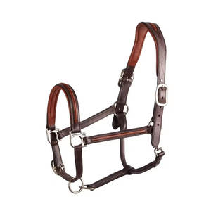 Vente en gros de licol de cheval tressé en cuir de nylon durable accessoire de bride de style occidental de conception personnalisée pour l'équitation de selle australienne - Product Image 5