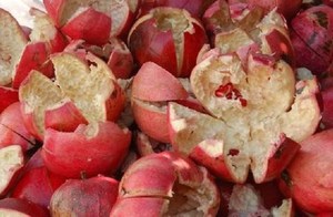 Cáscara de Granada Seca Silvestre Orgánica de Grado Alimenticio Premium - Piel Entera Cruda de Hierba Botánica con Polifenoles - Product Image 2