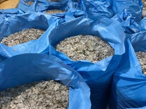 เกล็ดปลานิลแห้ง2023ร้อนจากเวียดนาม100% ราคาไม่แพงมาตรฐานส่งออก - Product Image 4