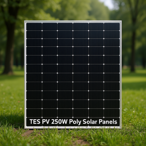 Panel Solar Polivinílico TES PV 250W - Product Image 3