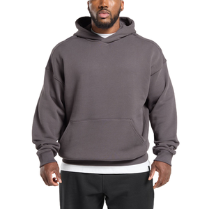 Basics Pullover Hoodies Streetwear Manga larga Uso diario Sudadera con capucha Logotipo personalizado - Product Image 1