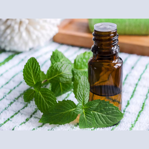 100% Huile essentielle d'arbre à thé biologique pure et Mentha Piperita pour diffuseur d'aromathérapie et purificateur d'air - Product Image 2