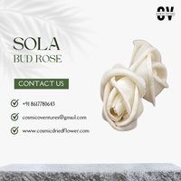 Harga Grosir Pabrik Mawar Sola Wood Bud Ramah Lingkungan, Mirip Asli, Berkualitas Tinggi, Serbaguna, Elemen Dekorasi Indoor/Outdoor, Halloween