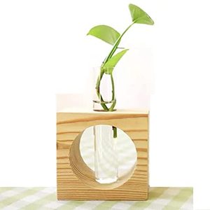 Nouveau style 2026 : Vase en bois avec tube en verre, finition naturelle, aspect moderne, haute qualité, élégant pour table. - Product Image 3