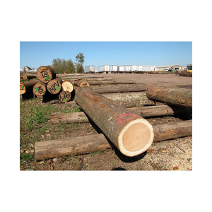 <b>Cheap</b> Price White Oak <b>Firewood</b> Logs and Wood Briquettes Energy Related Products on Sale - Product Image 4
