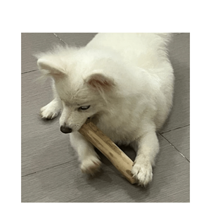 Mastics respectueux de l'environnement pour vos animaux de compagnie, fabriqués à partir de bois de provenance responsable, de haute qualité et à des prix compétitifs - Product Image 5