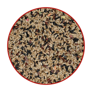 Mezcla de semillas sin avena rica en nutrientes para pájaros 20KG Dieta completa saludable Premium para canarios - Product Image 1