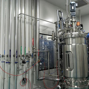 Biorreactor Industrial Automático de Funcionamiento Continuo de Un Solo Enlace con Capacidad de 20L-2000L y Potencia de 400V - Product Image 3