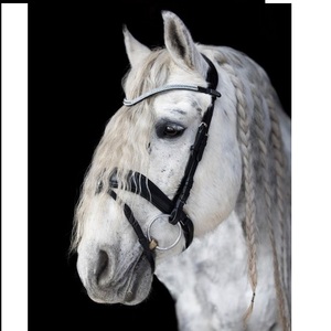 Bride en cuir de cheval haut de gamme de meilleure qualité à un prix économique pour les produits équestres haut de gamme - Product Image 3