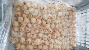 Produit agricole litchi congelé du Vietnam origine IQF transformé pour les marchés d'exportation - Product Image 3