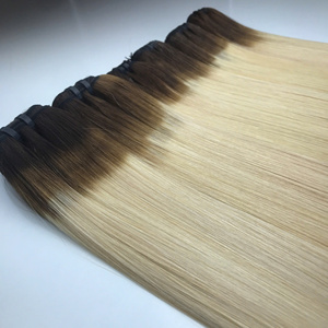 Vente en gros de trame de génie européen Extensions de cheveux de trame humaine vietnamienne de couleur blonde droite à double étirement - Product Image 5