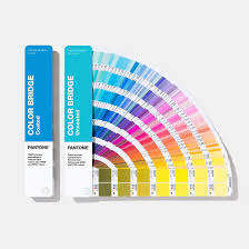 สีที่กำหนดเอง