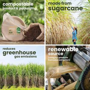 Assiette de canne à sucre blanche biodégradable et écologique 5 CP de qualité supérieure fêtes d'anniversaire à emporter - Product Image 6