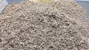 Flocons de filet de thon albacore HUANGDA, surimi, <span class=keywords><strong>poisson</strong></span> précuit congelé, conditionnement en conserve 3kg, certifié UE, congelé sous -18°C - Product Image 5