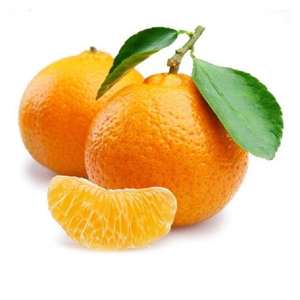 Orgánico Fresh Citrus Fruit Mandarin Orange Precio al por mayor Jugosa naranja a bajo precio - Product Image 1