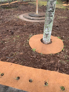 100% PRODUITS BIODÉGRADABLES COIR DIS COIR MULCH MAT POUR LA PROTECTION DES ARBRES DU BLEU LOTUS VIETNAM - Product Image 6