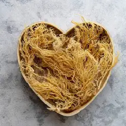 ติดต่อกับมอสทะเลไอริชจากเวียดนาม - Product Image 2