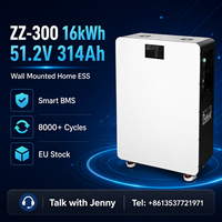 Batterie de stockage d'énergie domestique Docan EU Stock 51.2V 16kWh 314Ah LiFePO4, système solaire mural, prêt à l'emploi, DDP