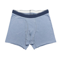 Boxer Briefs Homme Grande Taille Bleu Ciel Respirant Taille Mi-Haute Design Personnalisé Rayé 100% Coton Écologique Sans Couture Marque Privée