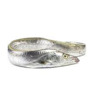 Se vende pescado de cinta redondo entero fresco congelado BQF... - Product Image 1